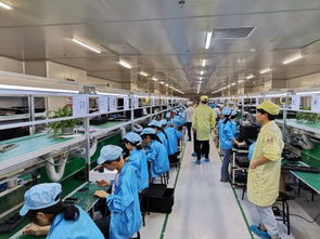 深圳賽博華宇攜手蘇寧拼拼工廠 以技術(shù)服務(wù)驅(qū)動百萬銷量目標(biāo)